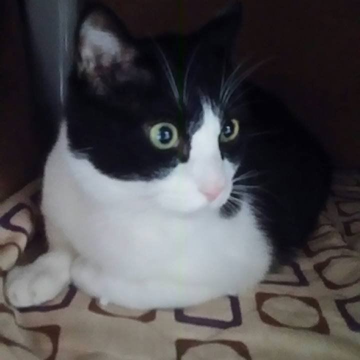 F6b99c9d 93a1 4243 98ec d9ce73f757d1