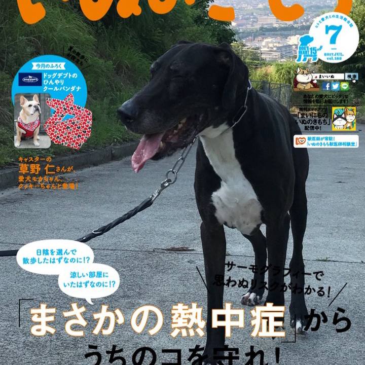 F6ba3043 243a 4a46 a7f1 a22bc59e28be