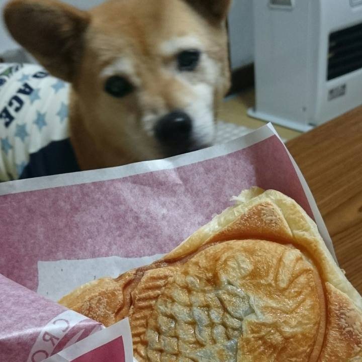 F6ba521e 5981 44c1 8817 dc604c522149