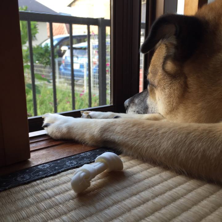 F6ba789e b3b9 4ba4 a08e 545e891c26ef