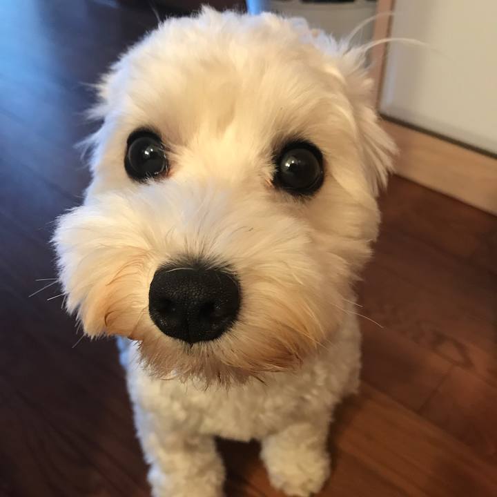 F6bae59e e3f7 4529 970c c47d0ee2368f