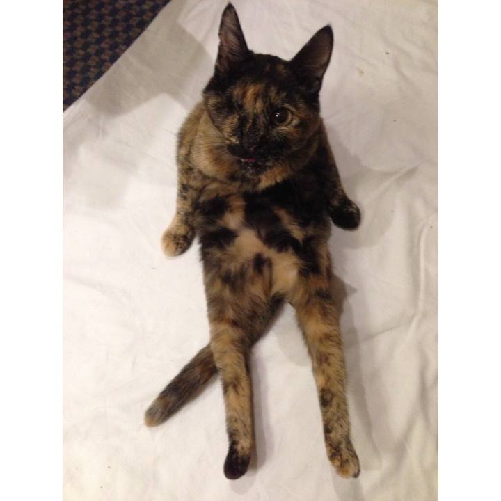 F6bb3561 8257 4776 9fba e947e92677e4