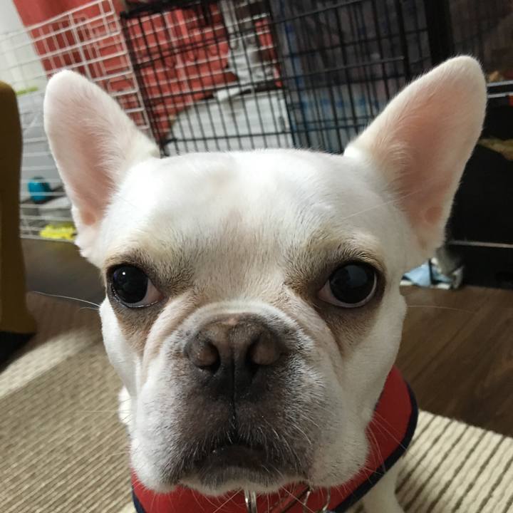 F6bb3757 9996 41b1 9ea5 66711c583a75