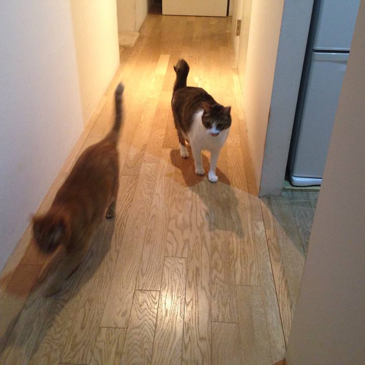 F6bb9c34 b474 4f18 bfdb 7c72f26a4a83