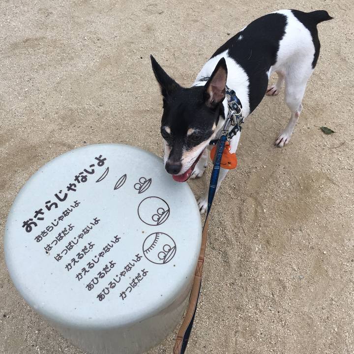 F6bbac88 d8ac 4c20 942d 3acdf700b043