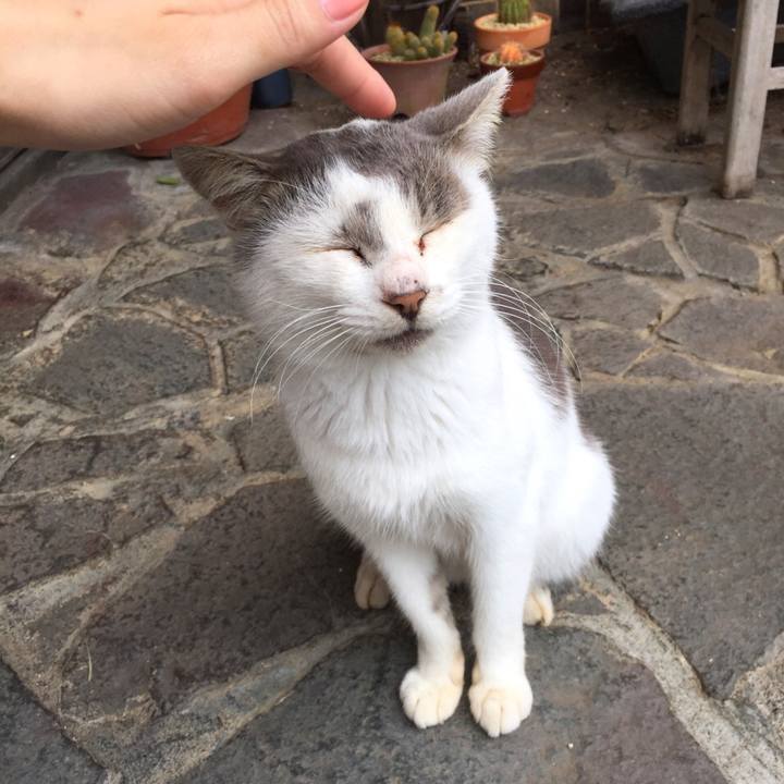 F6bbcb51 84a9 4095 aa41 019d2e2b935d