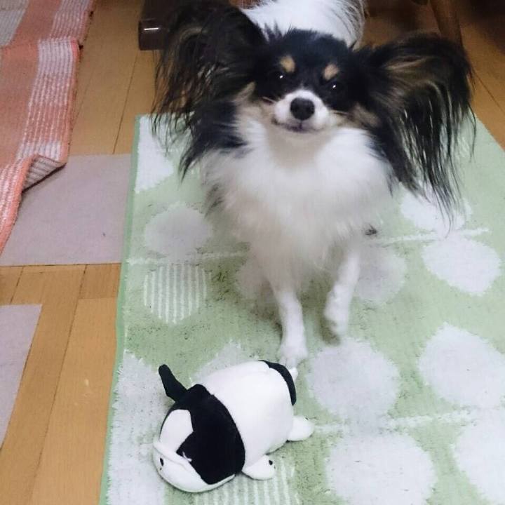 F6bc8bc0 2a0d 446a 9a6d 6232a88d6521