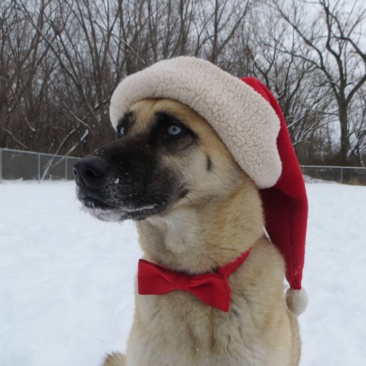 F6bca4bf d548 40f5 9637 abd09dcc709d