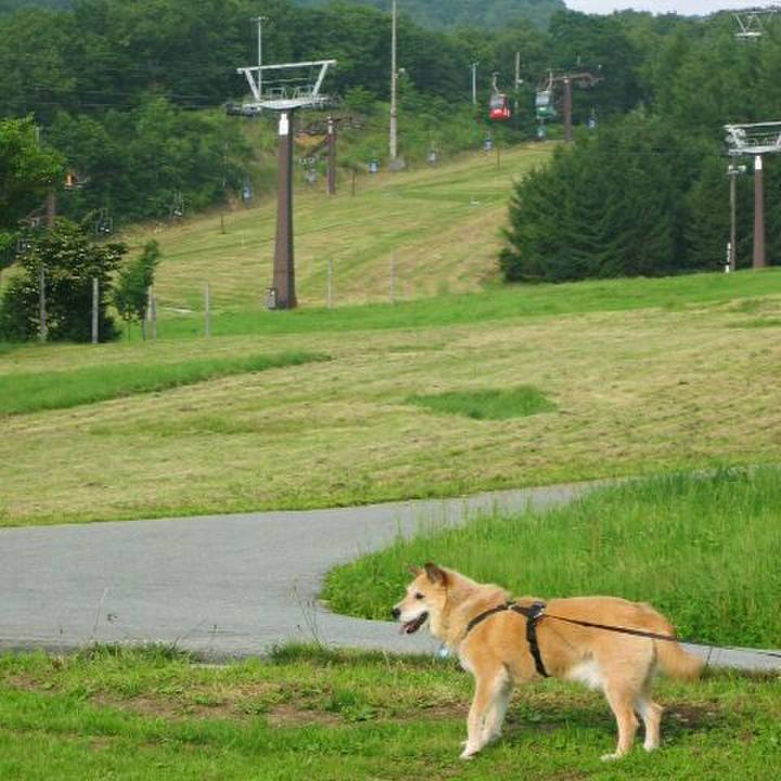 F6bce400 4b35 4cb2 bab3 c00338082269