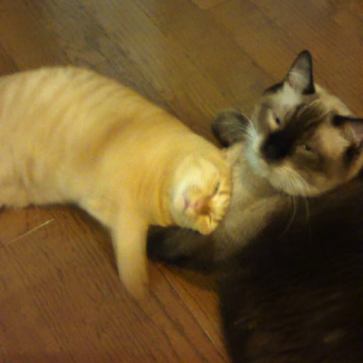 F6bcf889 2218 4f86 99f6 6d3b3b93169b