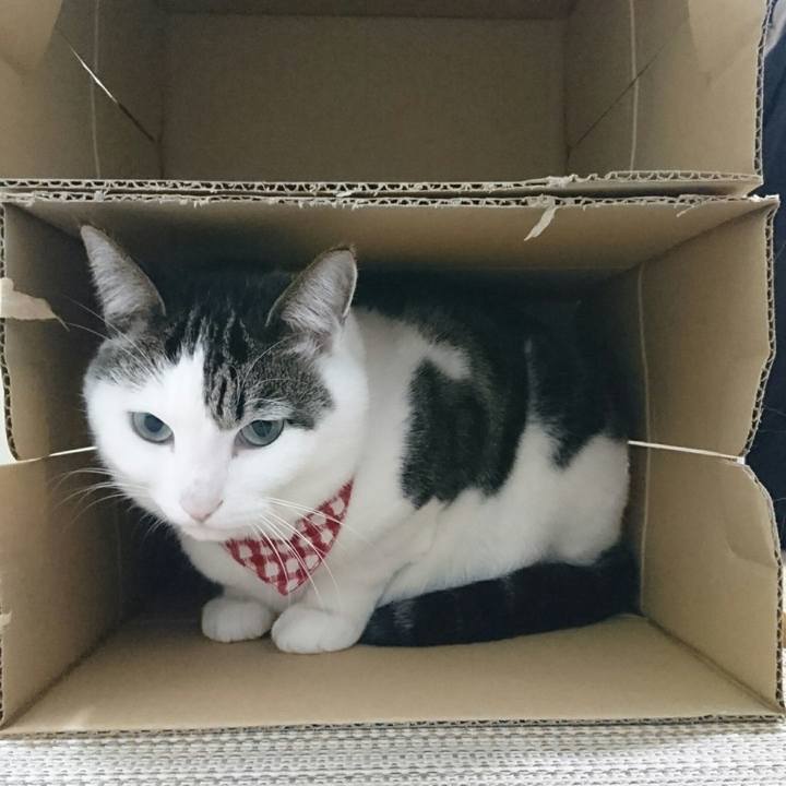 F6bd6d53 cd6e 4afe acea 47634f41d5fd