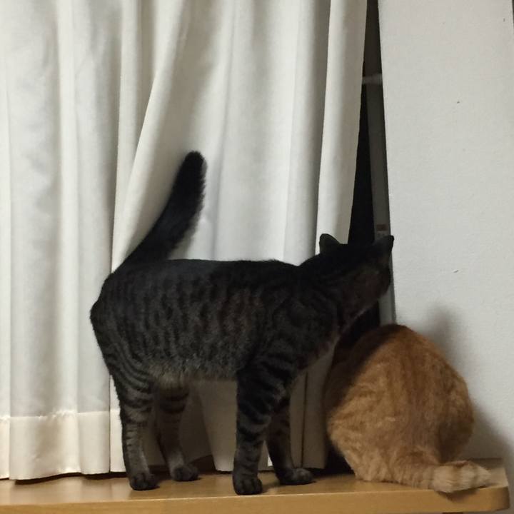 F6bdfe9f d9a5 4394 92eb 58aa3f490362