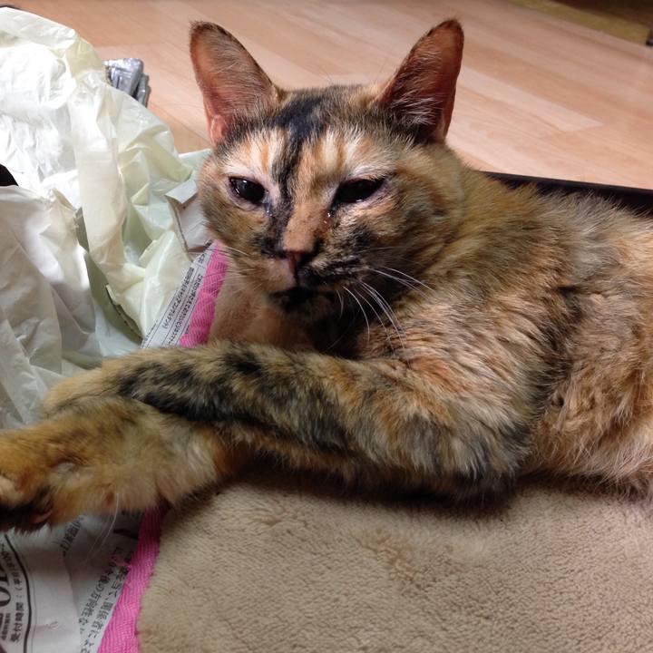 F6be5fd6 871b 4021 9623 3bdcafd65660