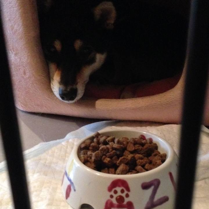 F6becb5f 3de6 4ed4 ae2e 553171ab1f1f