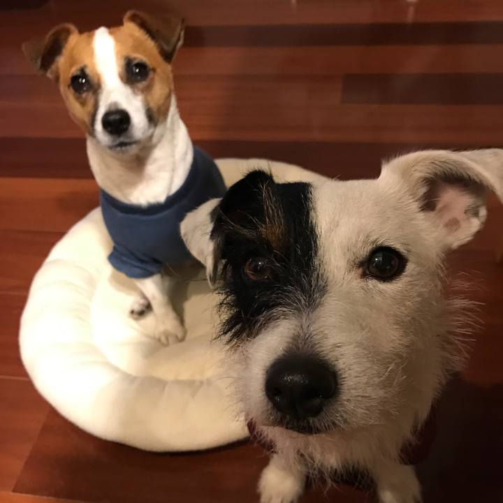 F6bfc46b 5b00 4c8c 9485 4ee17eb0533c