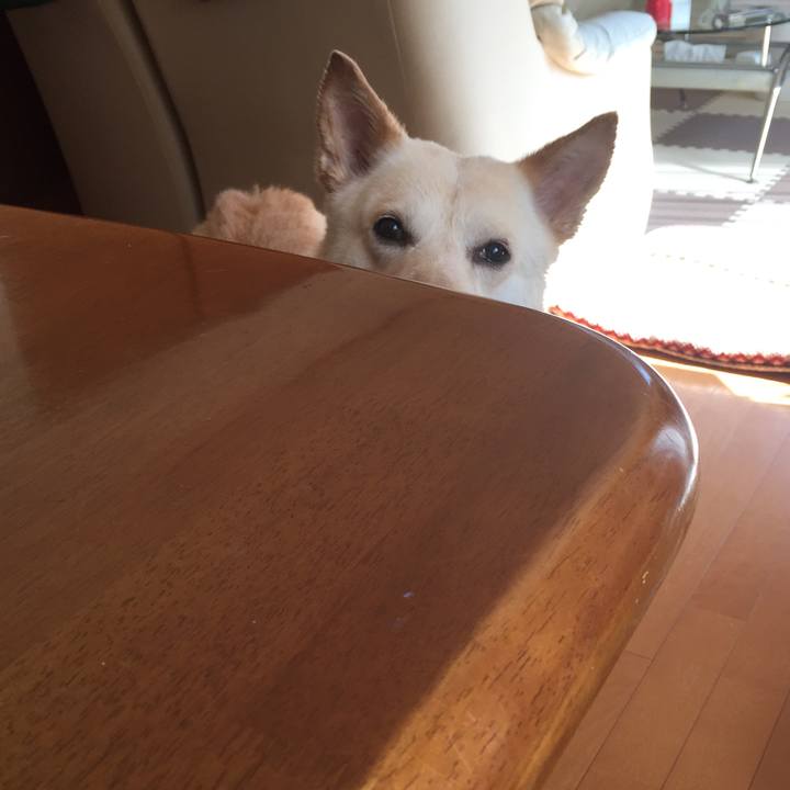 F6bfd1e9 a9cd 42ba 8002 c836c2d83e01