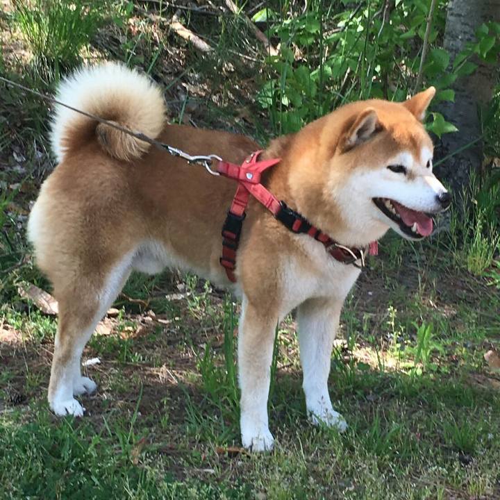 F6bfecb4 352a 4e01 9e77 39d921ddaf59