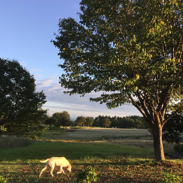 F6bff151 b454 42db b1d4 4d9d494b14c2