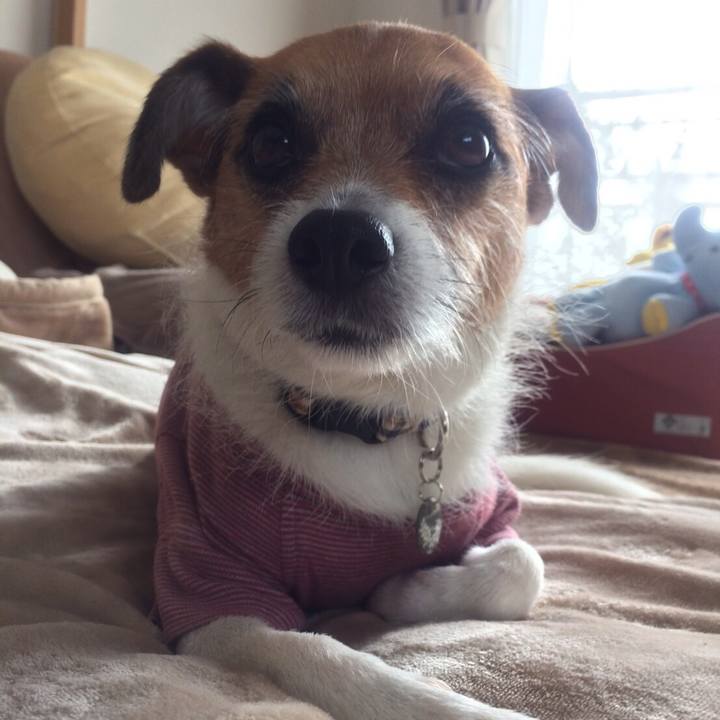 F6c055cf c398 42a1 9242 bbf410655eb6