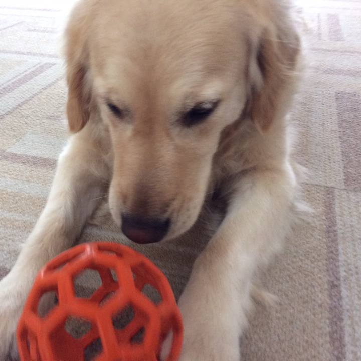 F6c09427 a555 4683 958b a129ce40b58e