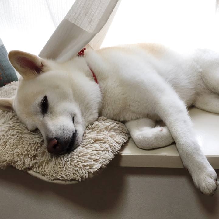 F6c099e9 100e 4169 acdd a46e9ab2acb1