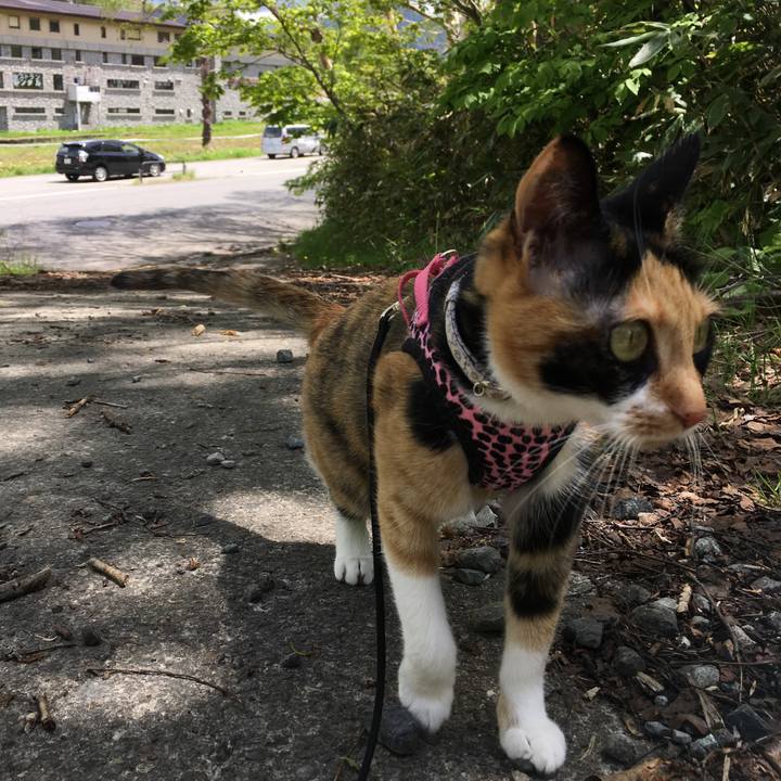 F6c0baf5 617c 49a3 9e73 9d8fc5d0300b