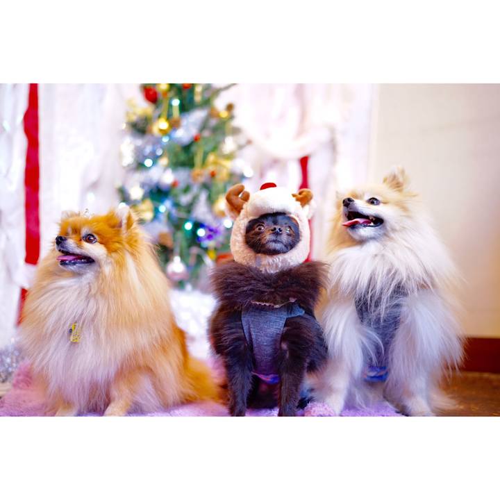 F6c11ae7 5a2d 4fef af00 eacfac6a26c4