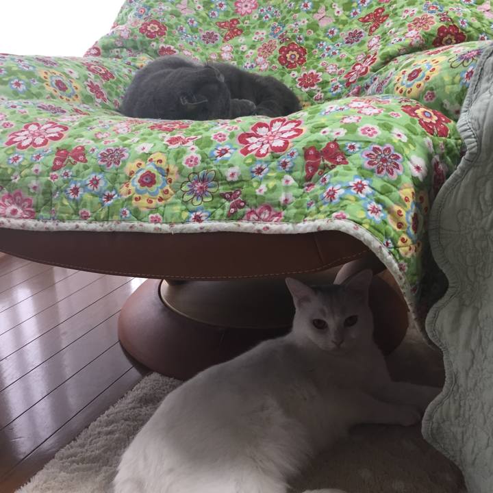 F6c2069d 621e 432a 87d2 df3f0fea4c1d