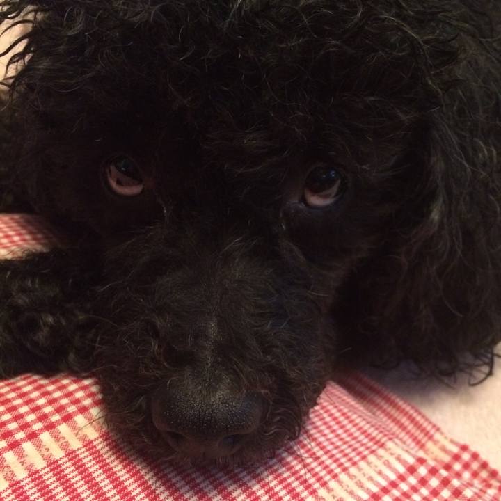 F6c24774 ae97 4a07 b0ff cd5a64c4ce4d