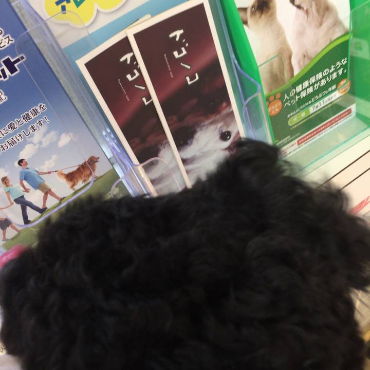 F6c26f82 b602 423c b04f f613cd32e866