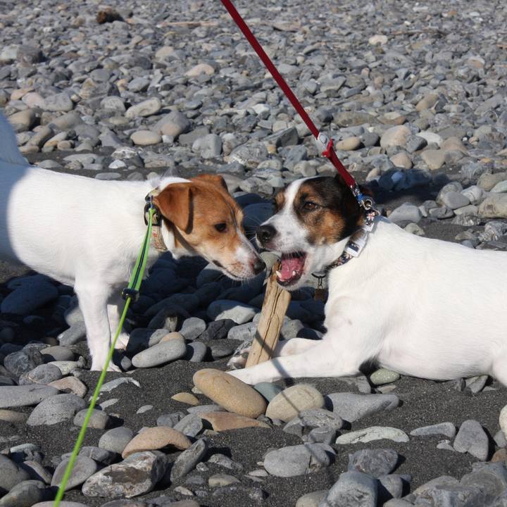 F6c28484 1834 46a7 bfae c8dc277c391d