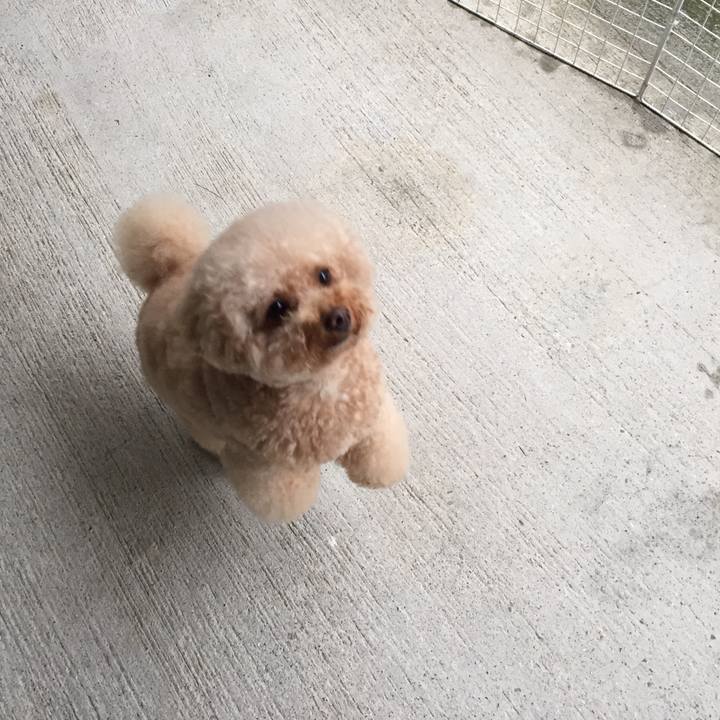 F6c28cb4 22cf 4d77 8237 c0ac2cc960ec