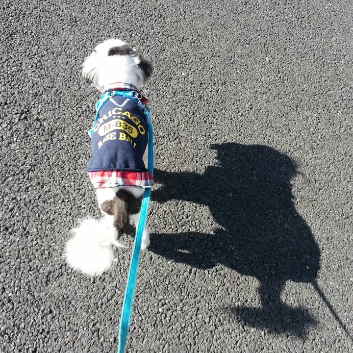 F6c2df9e e689 4883 9248 9c6ded0e70a0