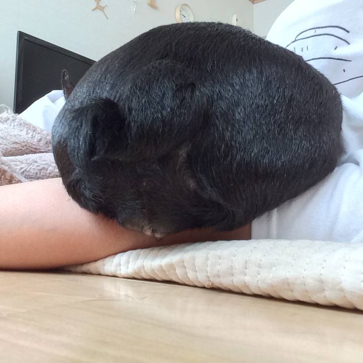 F6c31b8b 269a 4019 bfc7 92c7ed004d3a