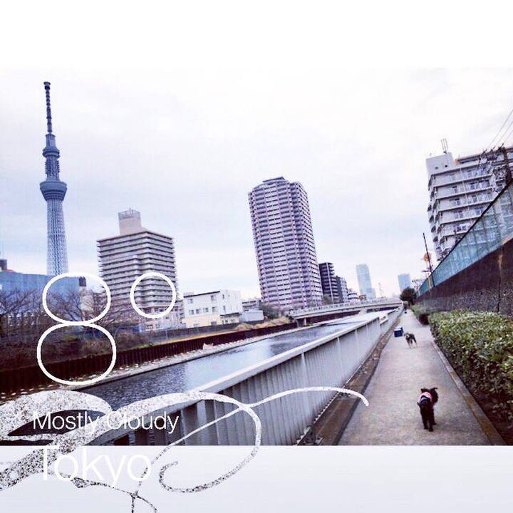 F6c33d5d d9df 4e84 bc28 410da61b11dd