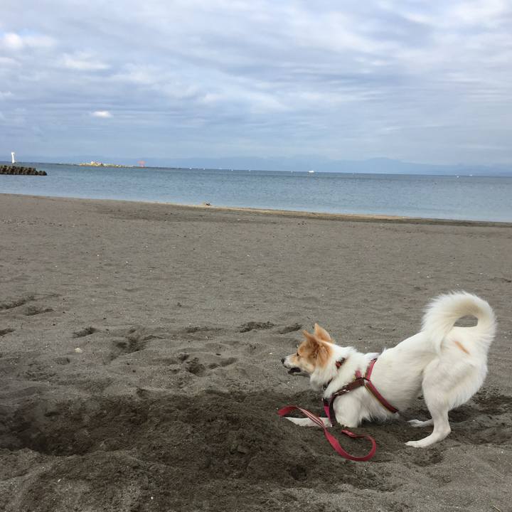 F6c352a4 1bb8 4094 bb54 9c24495a6868