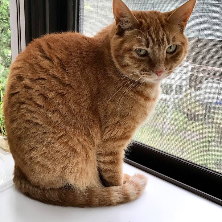 F6c36489 d41b 473f bff8 e4bb5a87f845