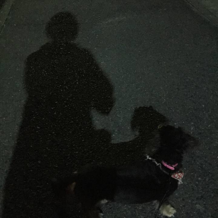 F6c3a76f 17c4 4326 901b 7feca408a072