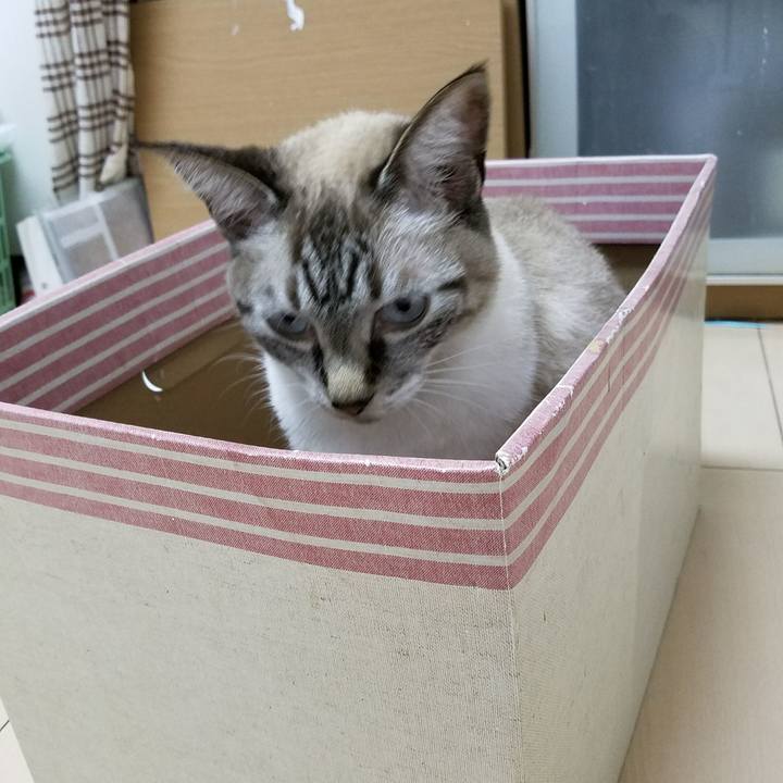 F6c3bdd3 7fb2 4e49 a2d2 42f875e3fbbe