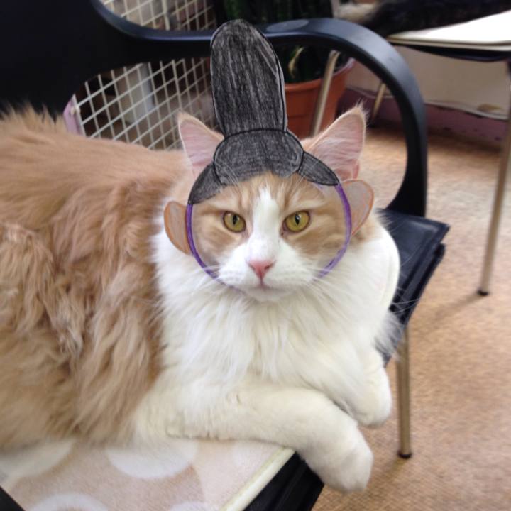 F6c40e4f 964b 4988 908b 5129eb6fe76a