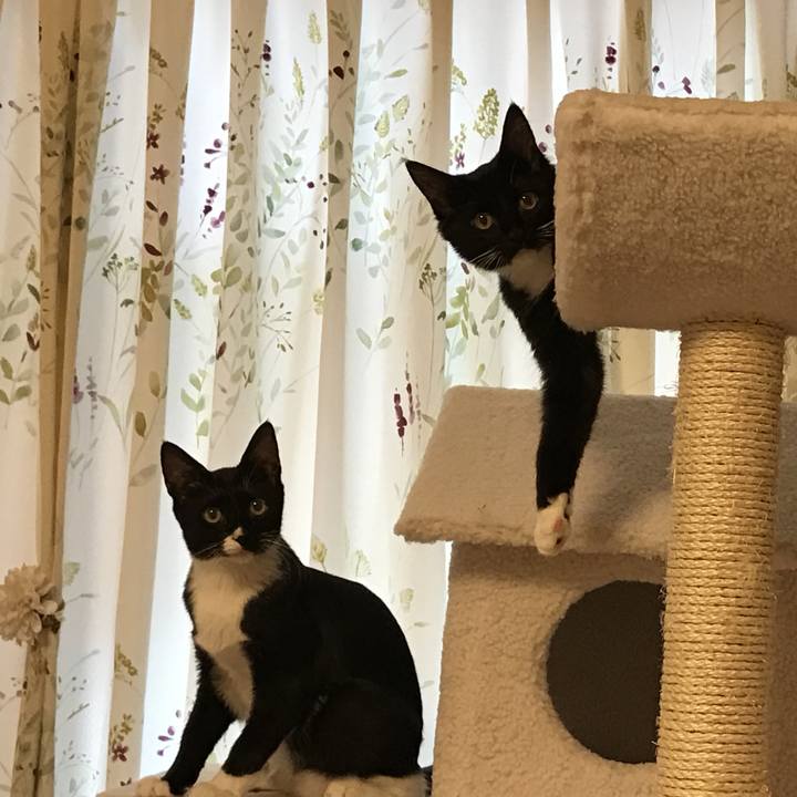 F6c43a32 4e1b 4314 b5fd 80d7b42ff30c