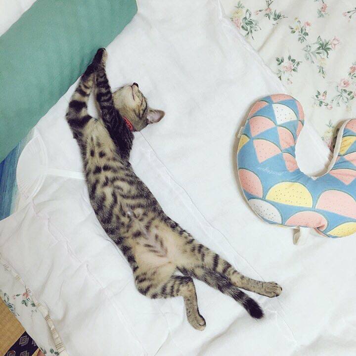 F6c43b01 7b88 4f99 9688 73a31b91f240