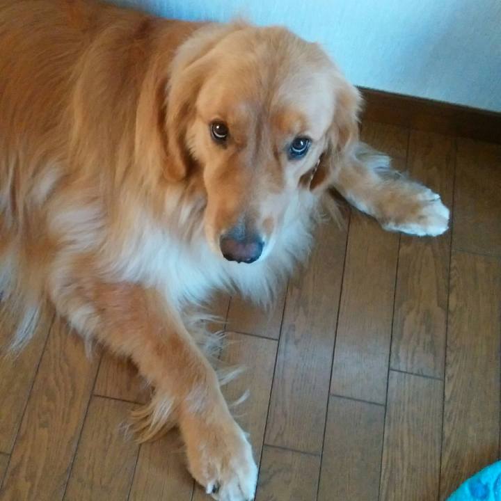 F6c4911f 68ab 4201 bb6e 88137e626c77