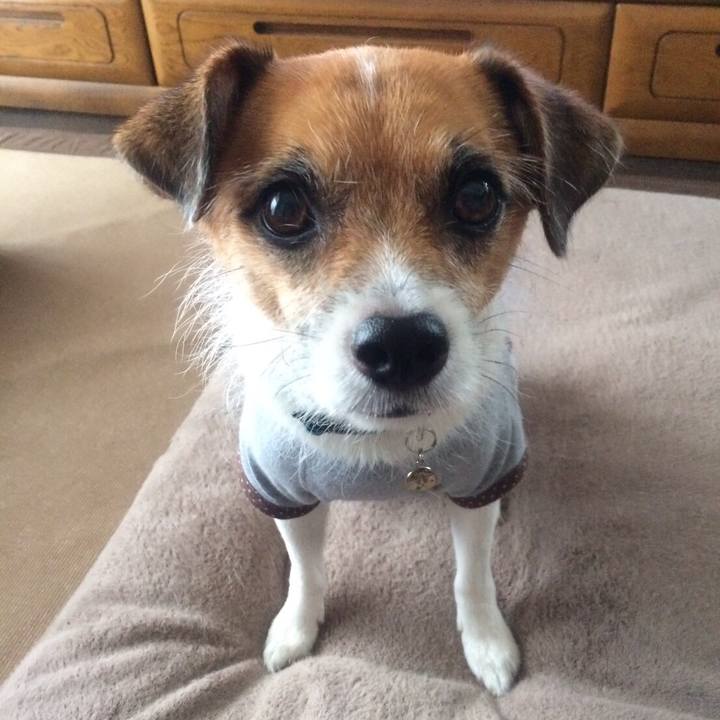 F6c4e640 4076 4ba6 a757 55dfa59ac85b