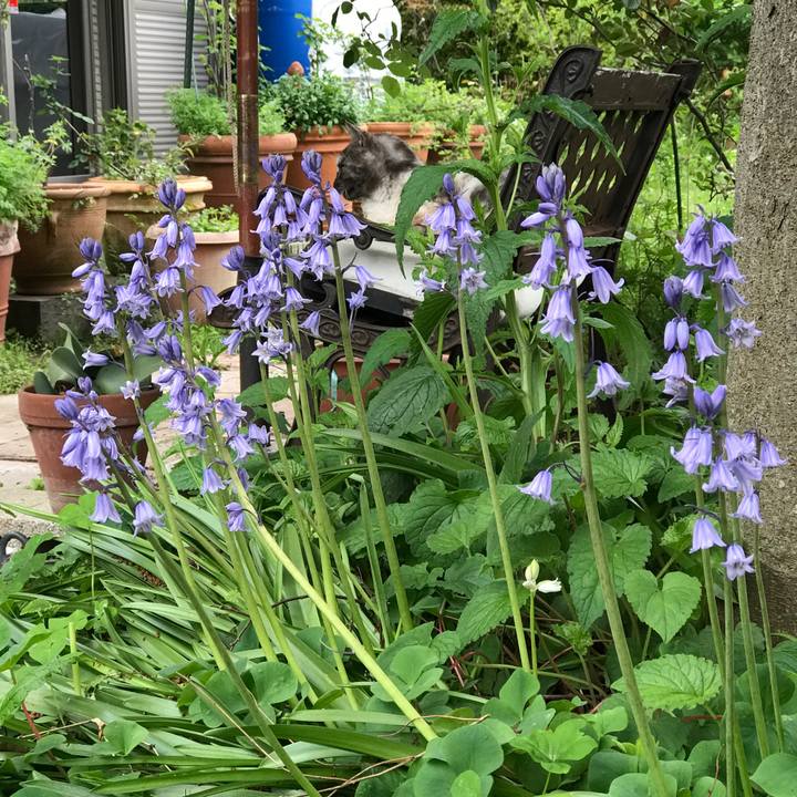 F6c4fbc3 d13b 47d9 a740 85c64908a742