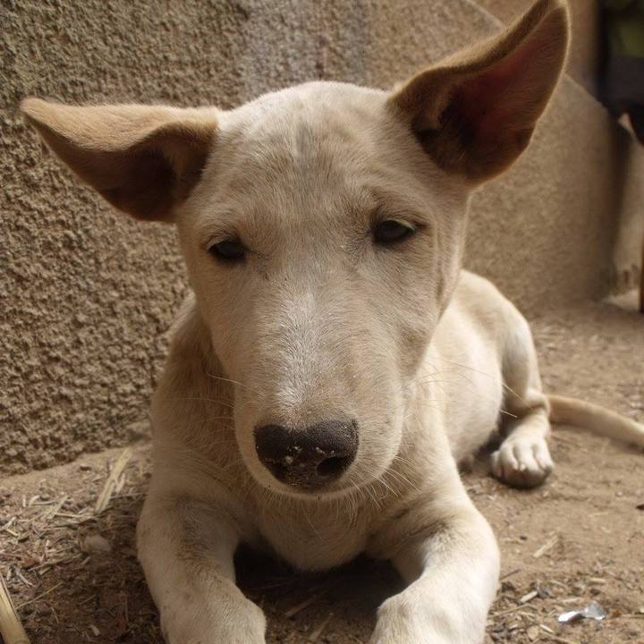 F6c52c74 7b71 4b54 a55e 9bc86f38e754