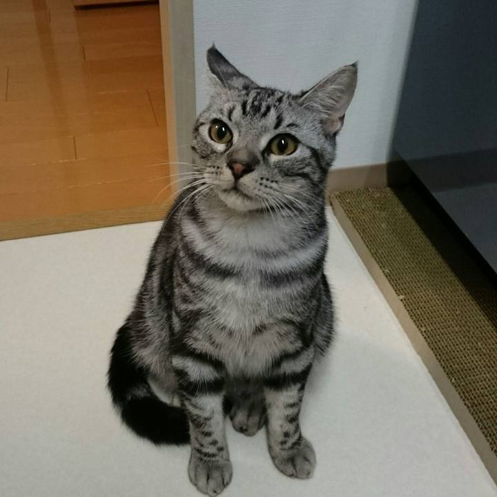 F6c6a065 85c5 4272 9b41 6a434df5d356