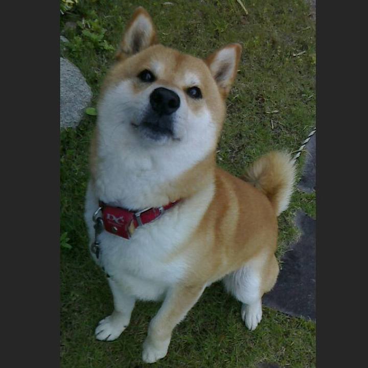 F6c71b66 f0d3 4500 a892 d4f6a37f1882