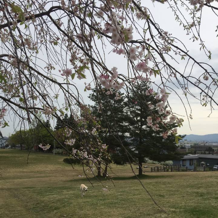 F6c7446d e51d 4a30 b4c6 37f42e5061ec