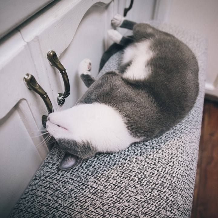 F6c7870e a15e 4a9e 93ab d2fc814f26ab